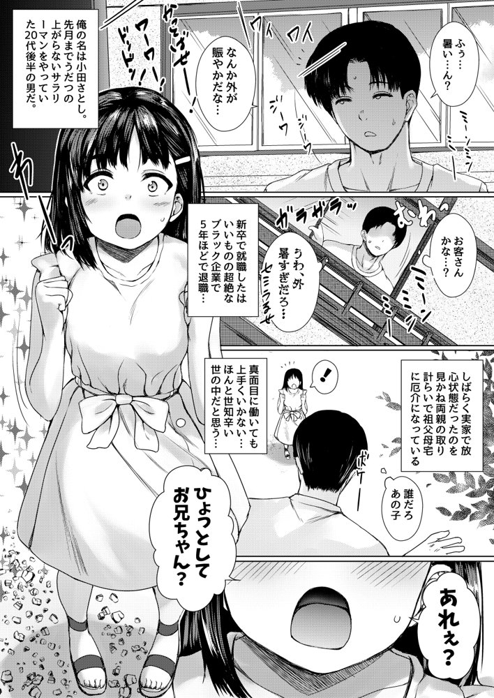 ねこ缶20作品オールパック