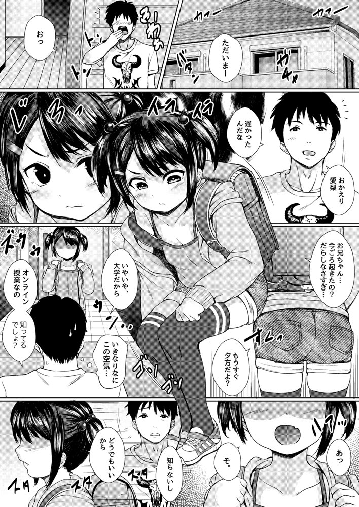 ねこ缶20作品オールパック