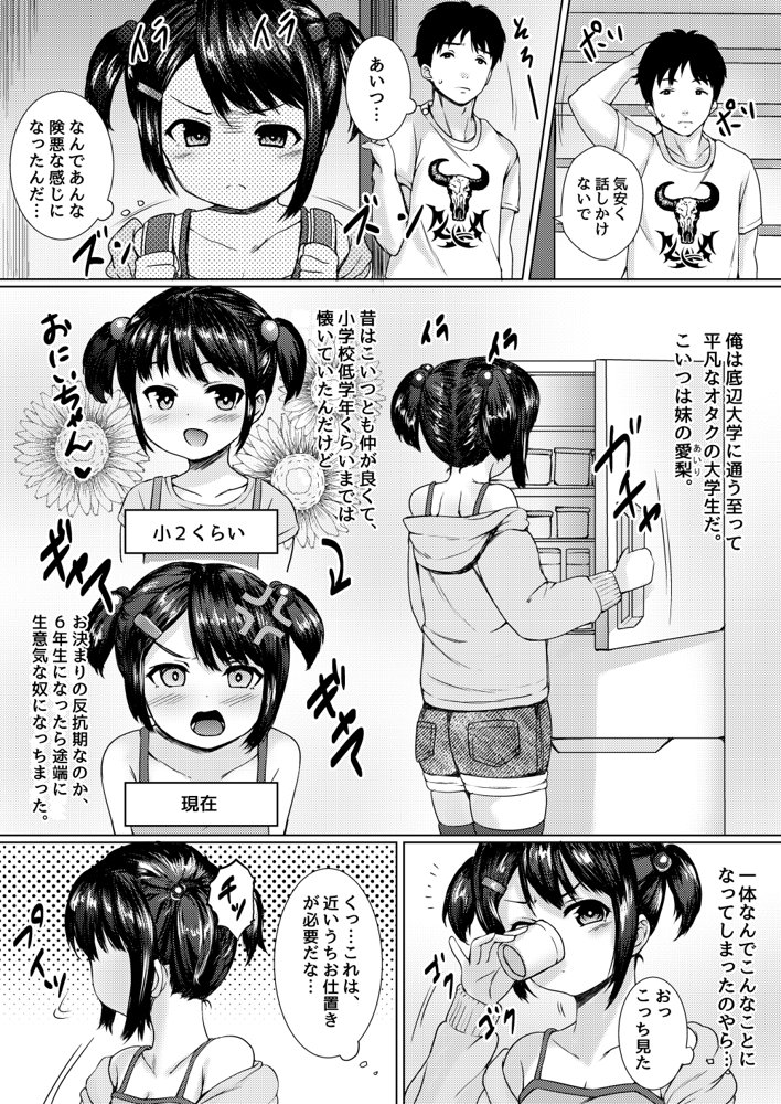 ねこ缶20作品オールパック