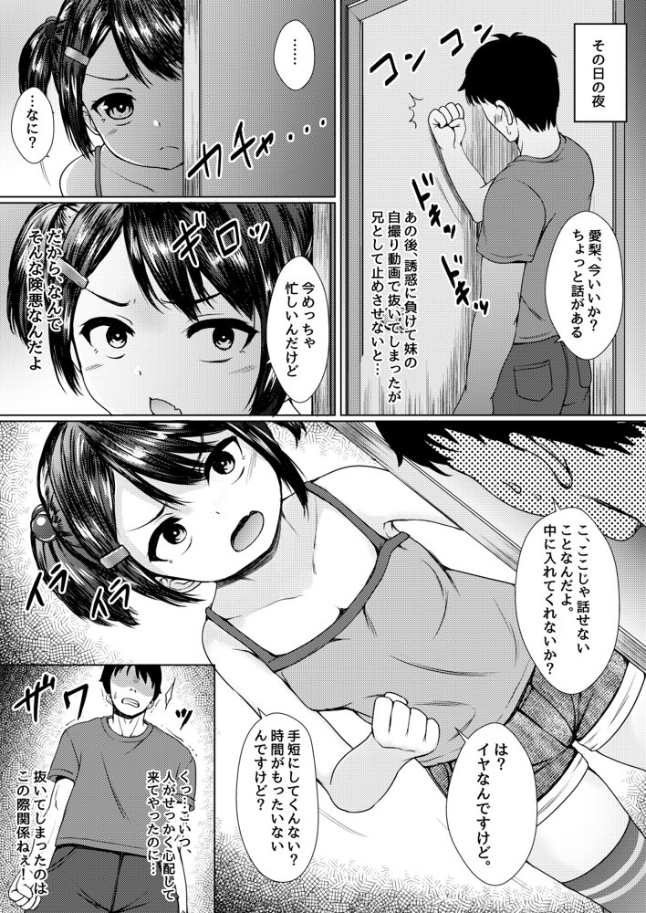 ねこ缶20作品オールパック
