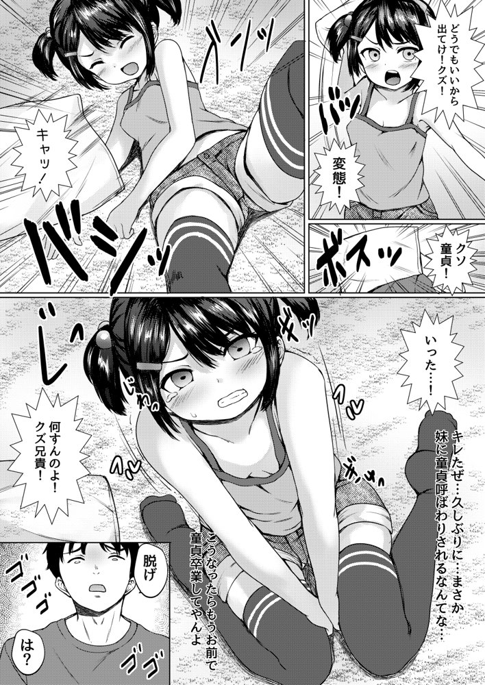 ねこ缶20作品オールパック