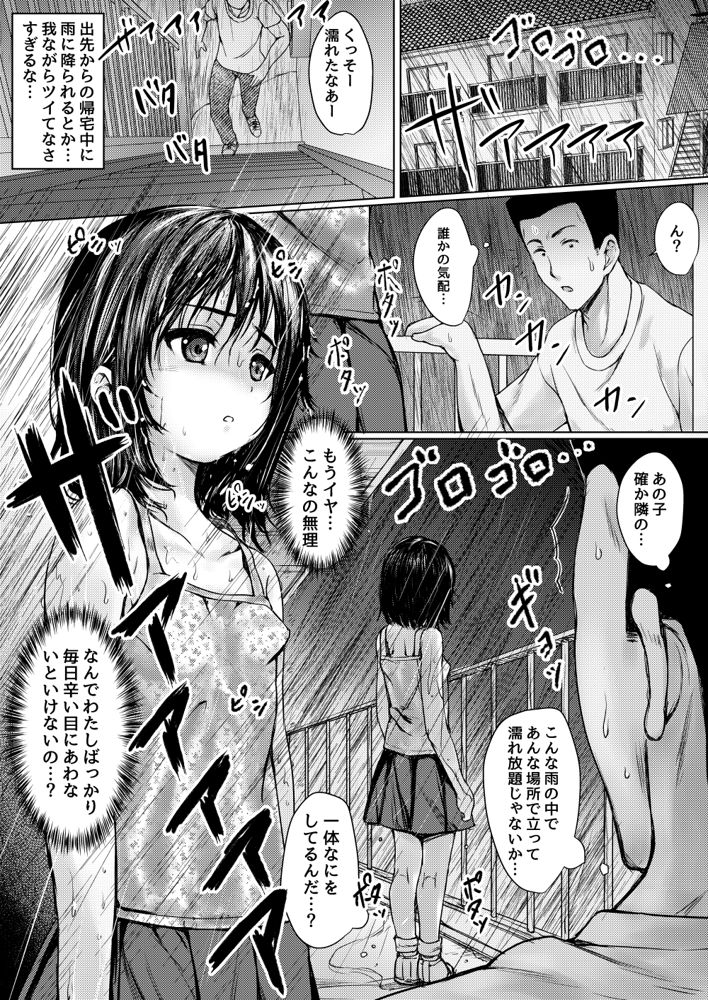 ねこ缶20作品オールパック