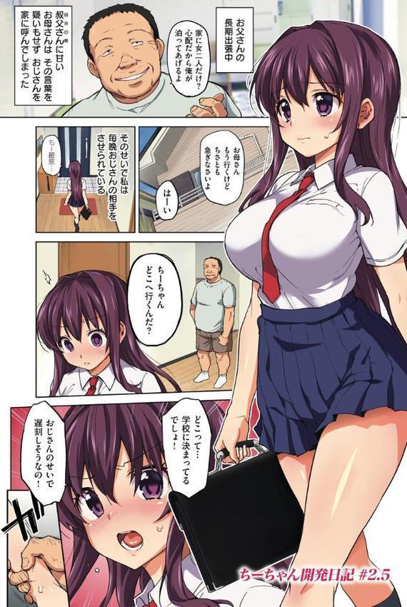 ちーちゃん開発日記【デジタル特装版】