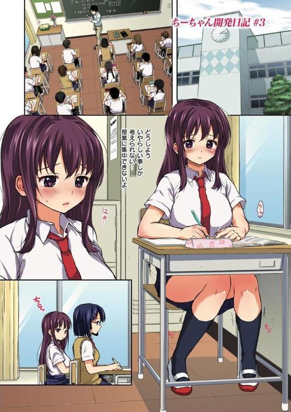 ちーちゃん開発日記【デジタル特装版】