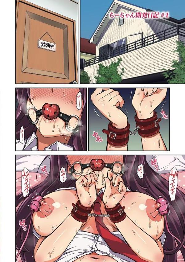 ちーちゃん開発日記【デジタル特装版】