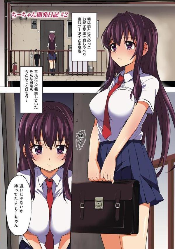 ちーちゃん開発日記【デジタル特装版】