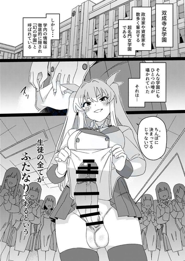 双成寺女学園-交戦-