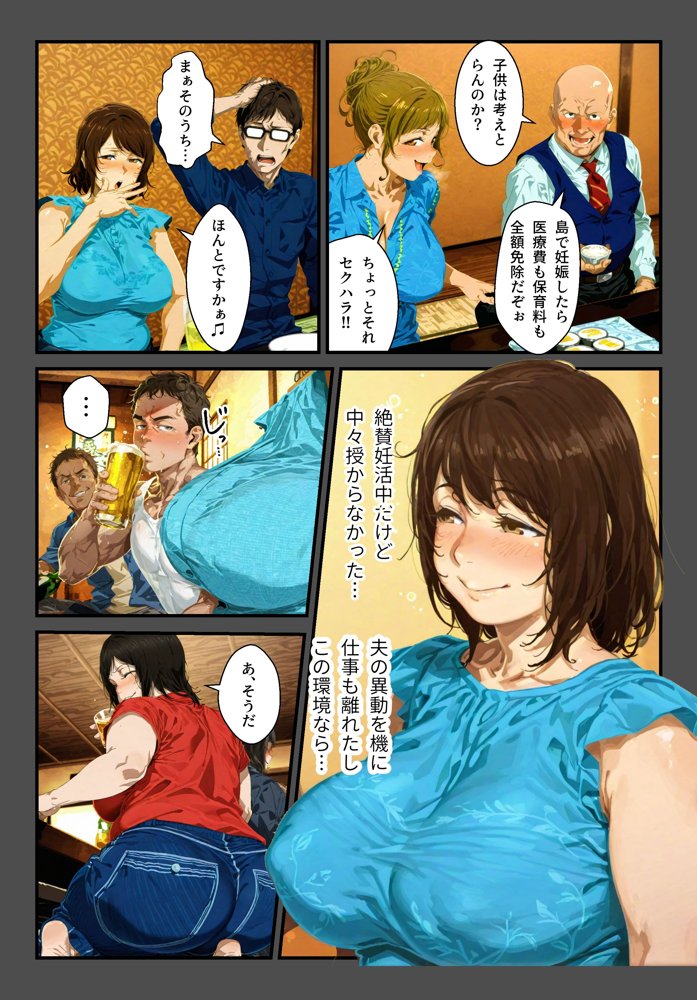 種付島〜淫宴に沈む女達〜