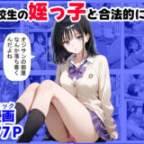 女子校生の【姪っ子】と、合法的にセックスする方法