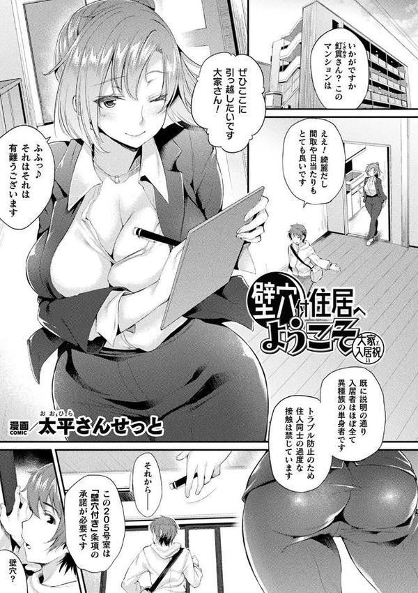 コミックアンリアル ザ・ベスト 壁尻コレクション