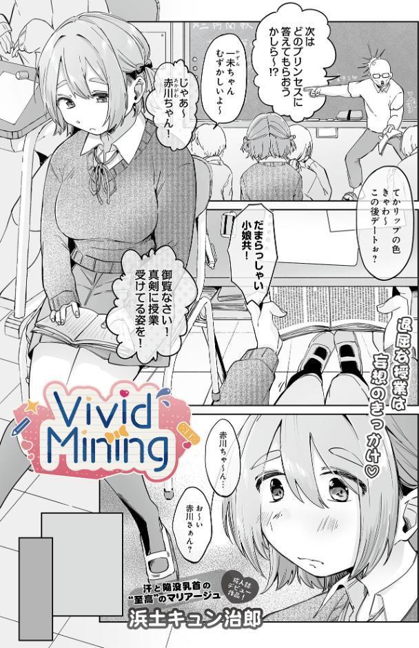 VividMining