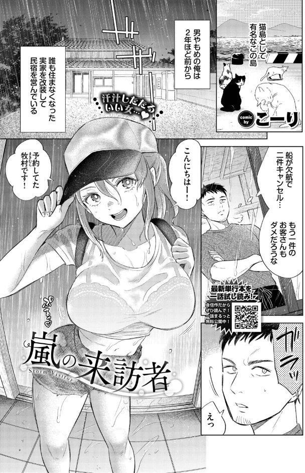 嵐の来訪者