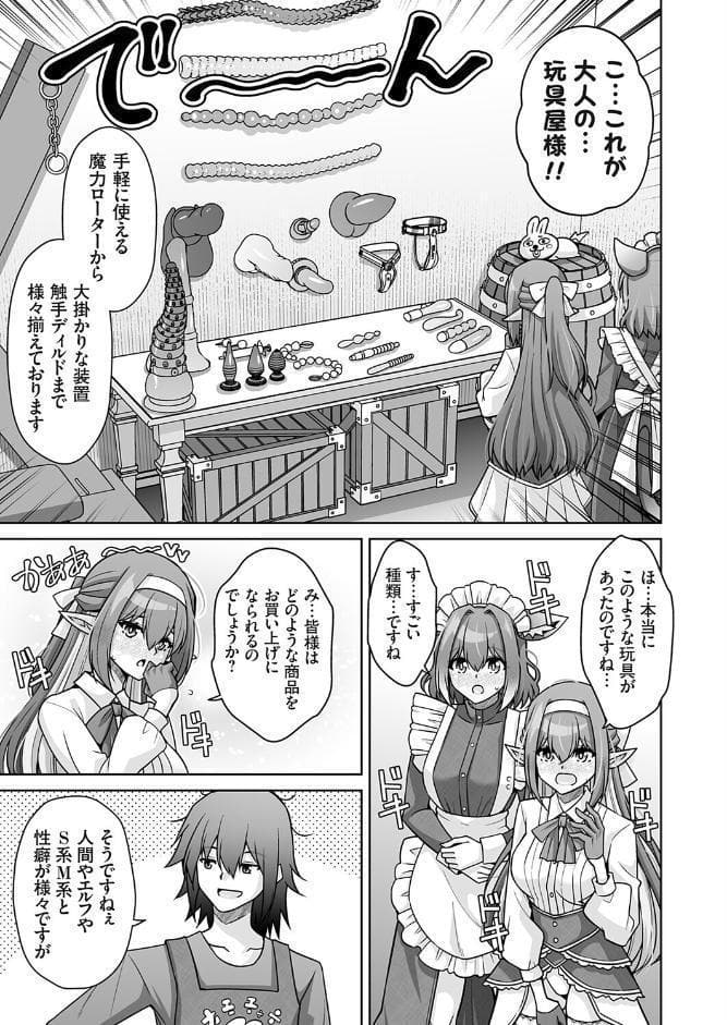 サキュバス令嬢御用達！！ 多種族の性癖を叶える異世界（大人の）玩具屋