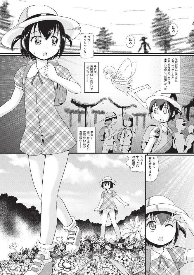 FAIRY PARTY