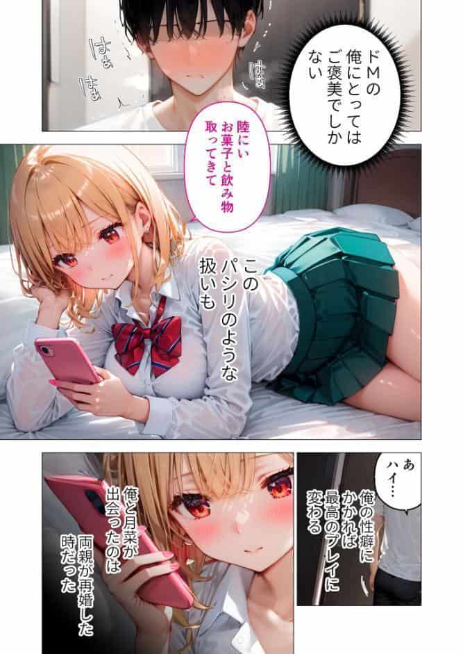 愛する義妹のえっちな罵倒 〜お義兄ちゃんのざぁ〜こ〜 モザイク版