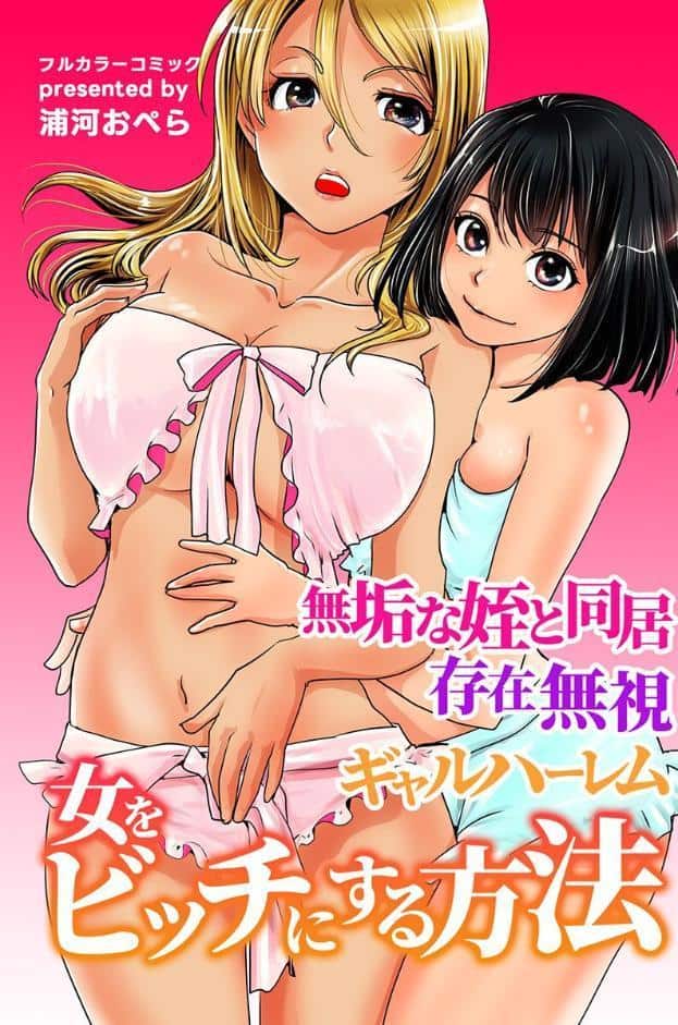女をビッチにする方法〜無垢な姪と同居 存在無視 ギャルハーレム〜