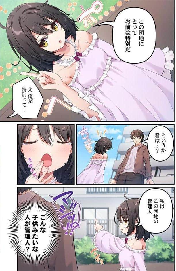 風俗団地へようこそ〜深夜2時からハメまくりハーレム！1