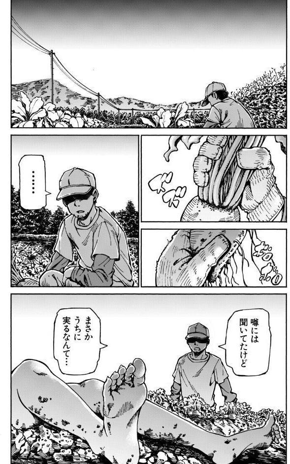 大根恋歌 （カエデミノル）