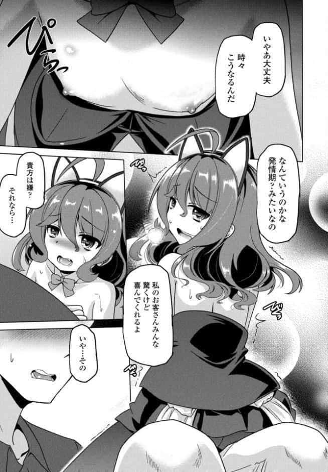 Cat garden7 -だからここが好き-