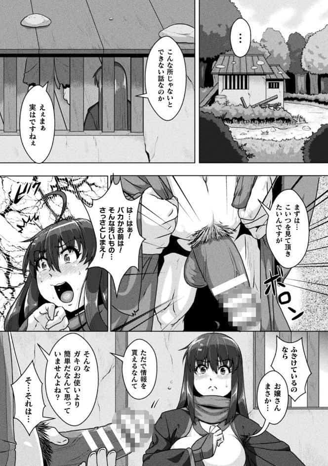 サムライヴァンダリズム THE COMIC