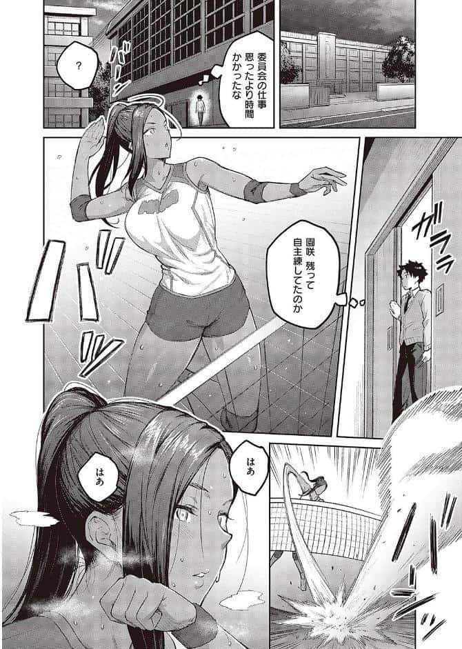 立葵