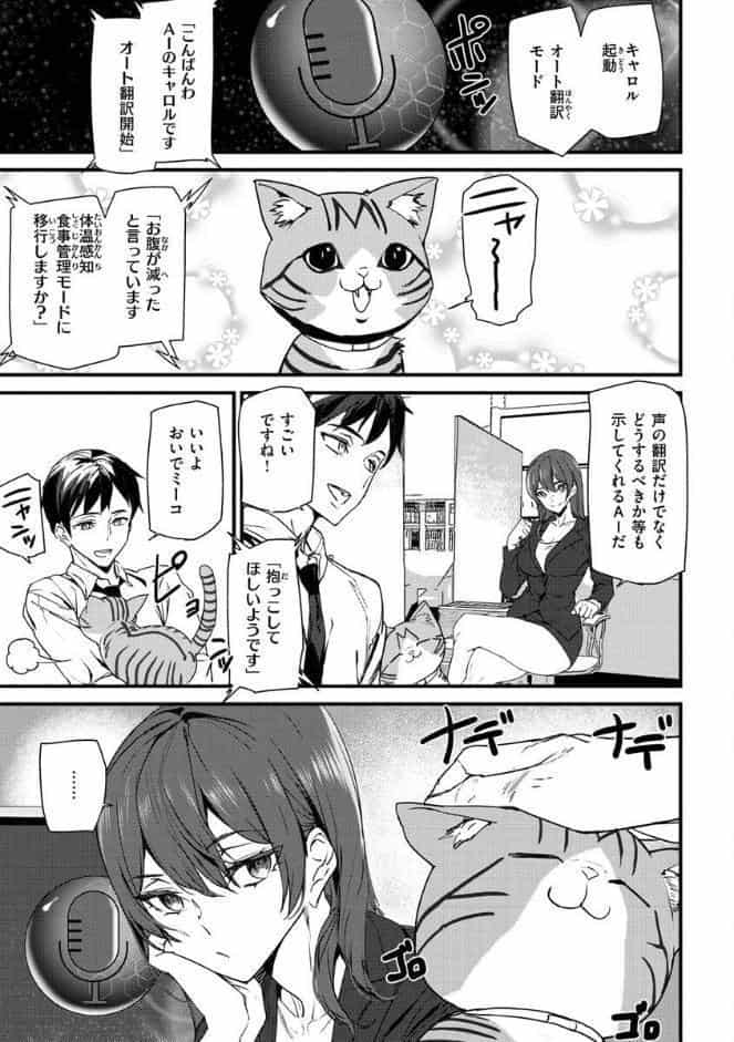 ヒップパラダイス