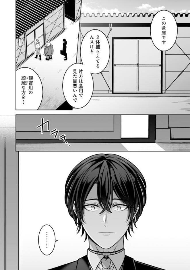 【R18版】懐いた人魚と溺愛交尾をする話【電子特典付き】