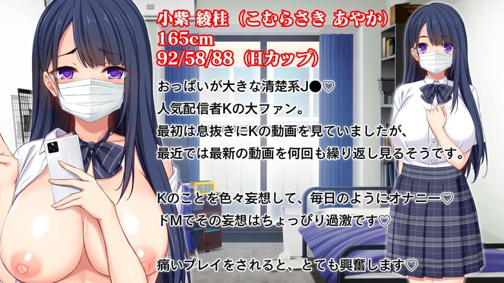 スタジオ山ロマン12作品パック