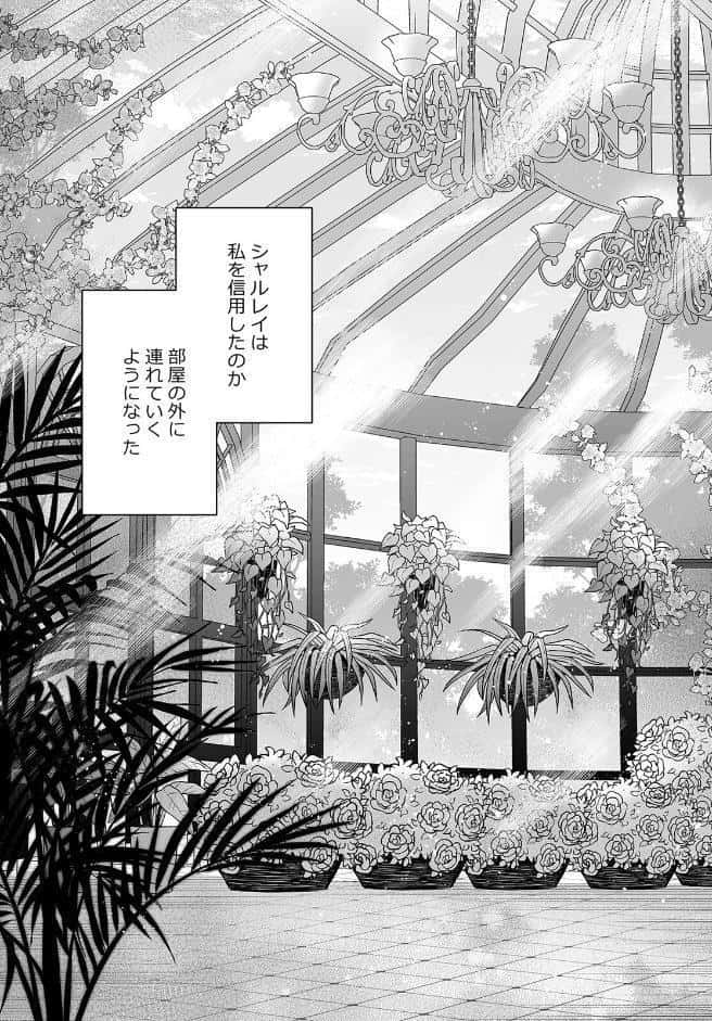 檻の中で注がれる狂おしいほどの執着愛〜優しい幼馴染は、私を救うため闇に堕ちました〜【R版】（3）