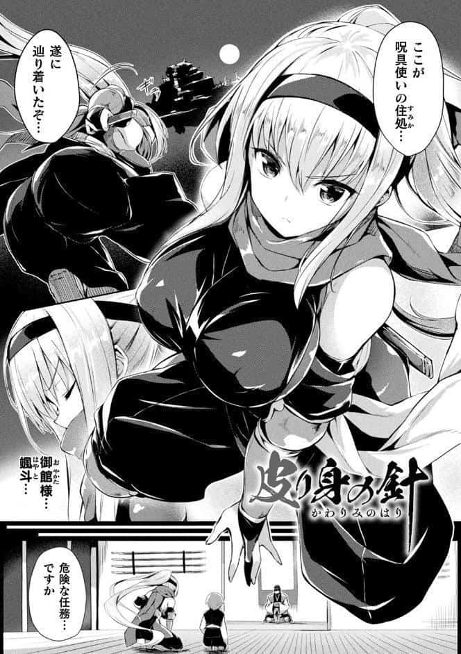 皮り皮って 限定版