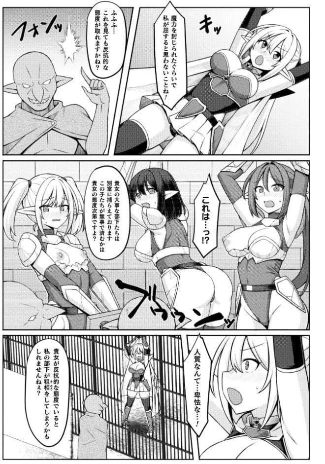 姫騎士陵● 〜陥落の監獄〜【単話】