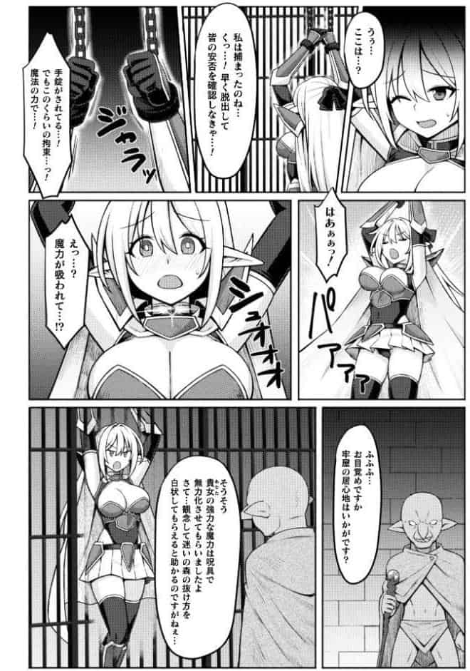 姫騎士陵● 〜陥落の監獄〜【単話】